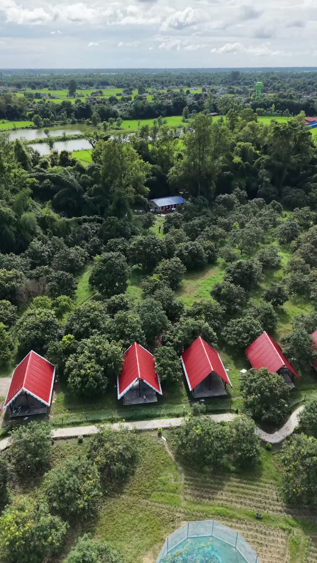 Gabled villas set among the mango trees